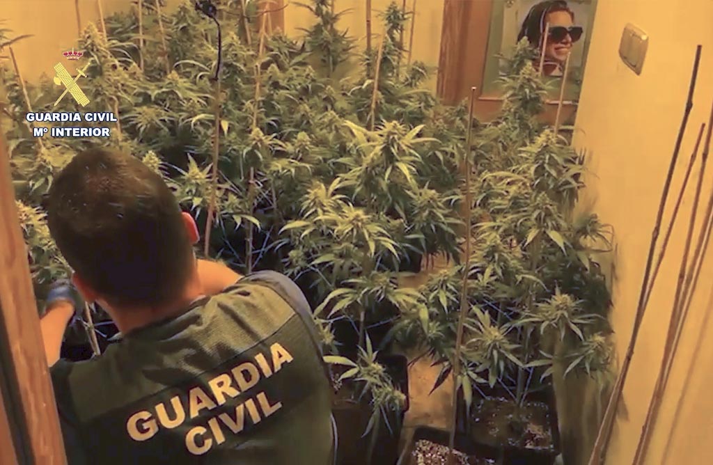Detenido un hombre de 45 aos por cultivar marihuana en un piso y por engancharse a la luz